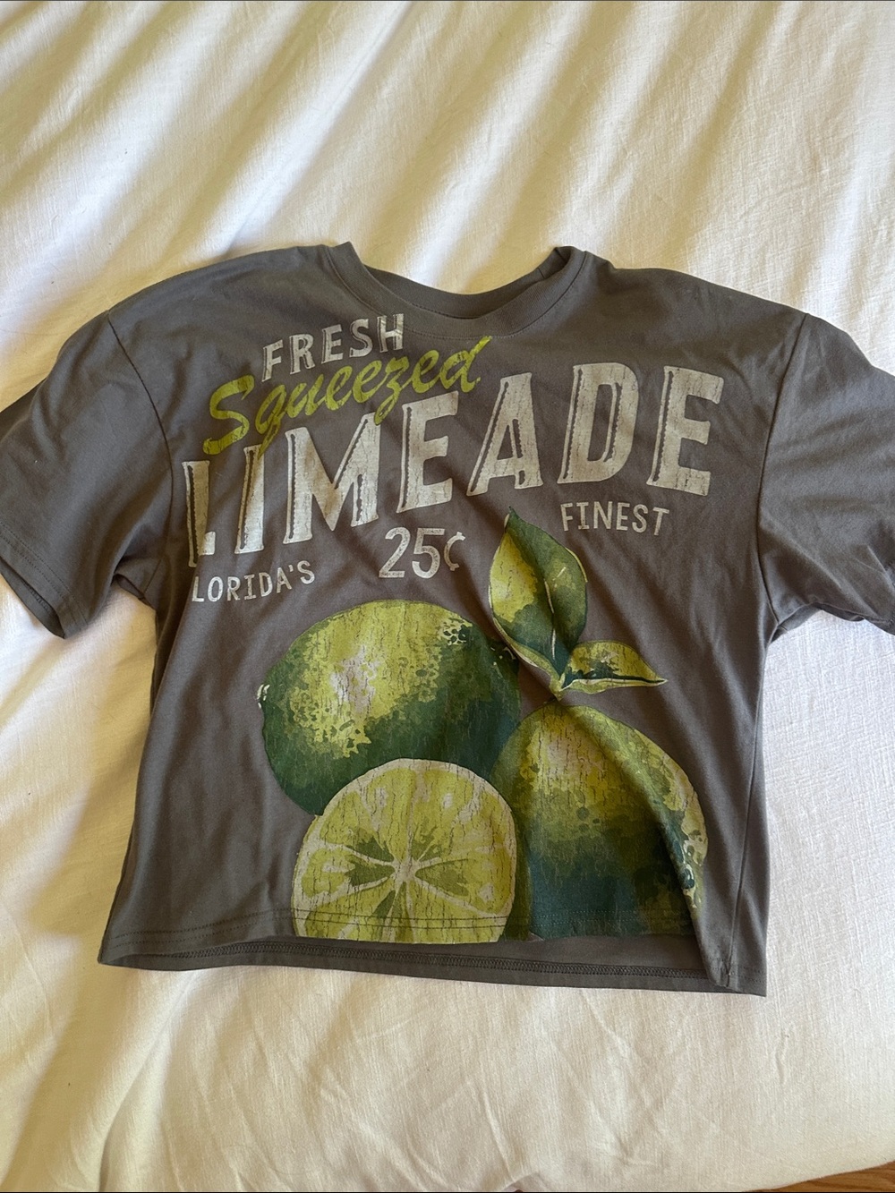 Gray Limeade Graphic Tee - Fresh Squeezed Lime